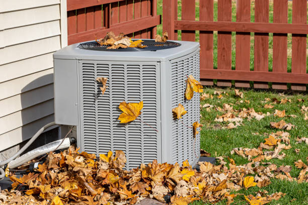 Best HVAC Companies Near Me  in Newport, MN